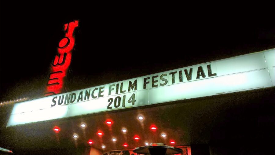 Sundance 2014: The Double and The Signal