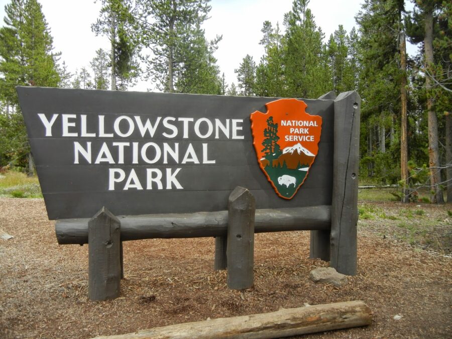 Yellowstone in August