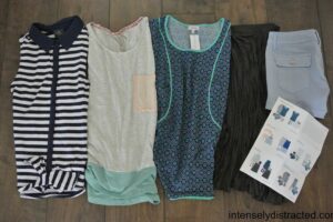 My Stitch Fix #3 – June Review